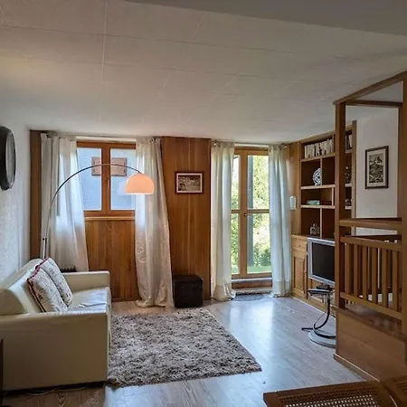 Cozy Bear Ski-in Ski-out Panoramic
